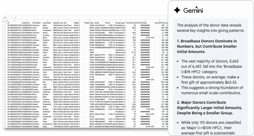 Example of Using Gemini AI for Fundraising